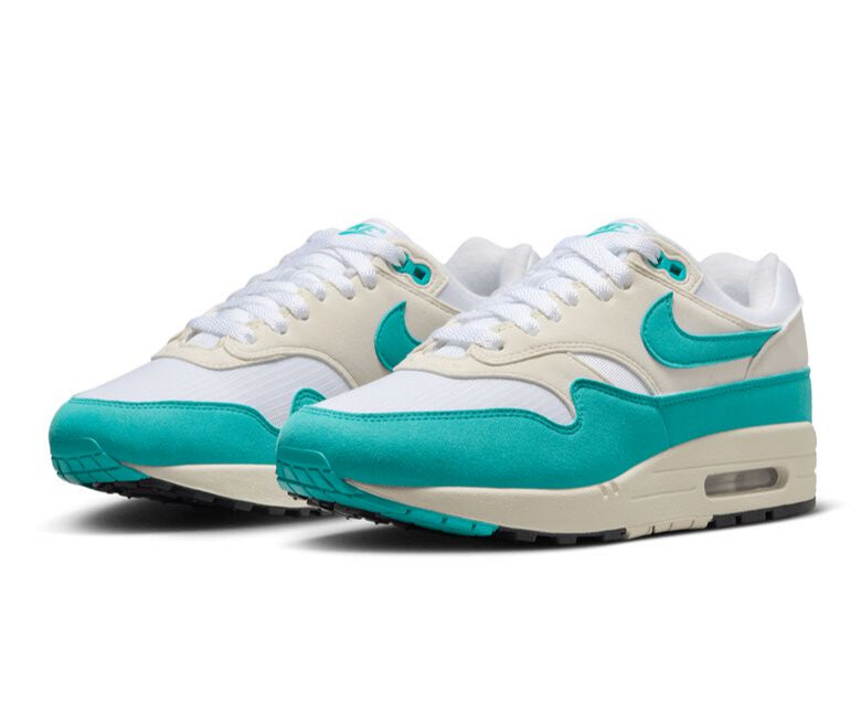 Nike Air Max 1 "Dusty Cactus"