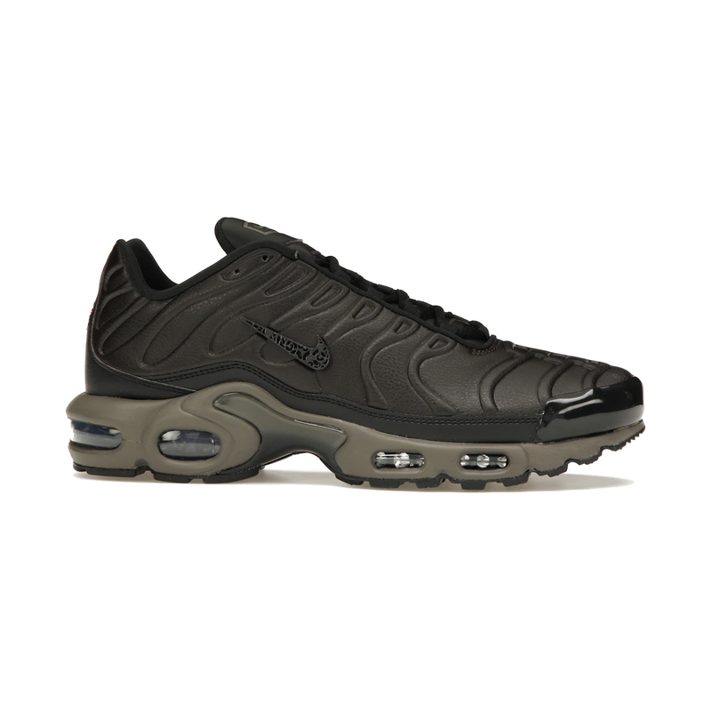 Nike Air Max Plus Premium Paris