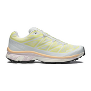 Salomon XT-6 Alpen Blossom Ice Flow