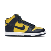 Nike Dunk High Michigan 2020