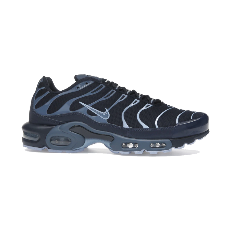 Nike Air Max Plus Obsidian Aluminum