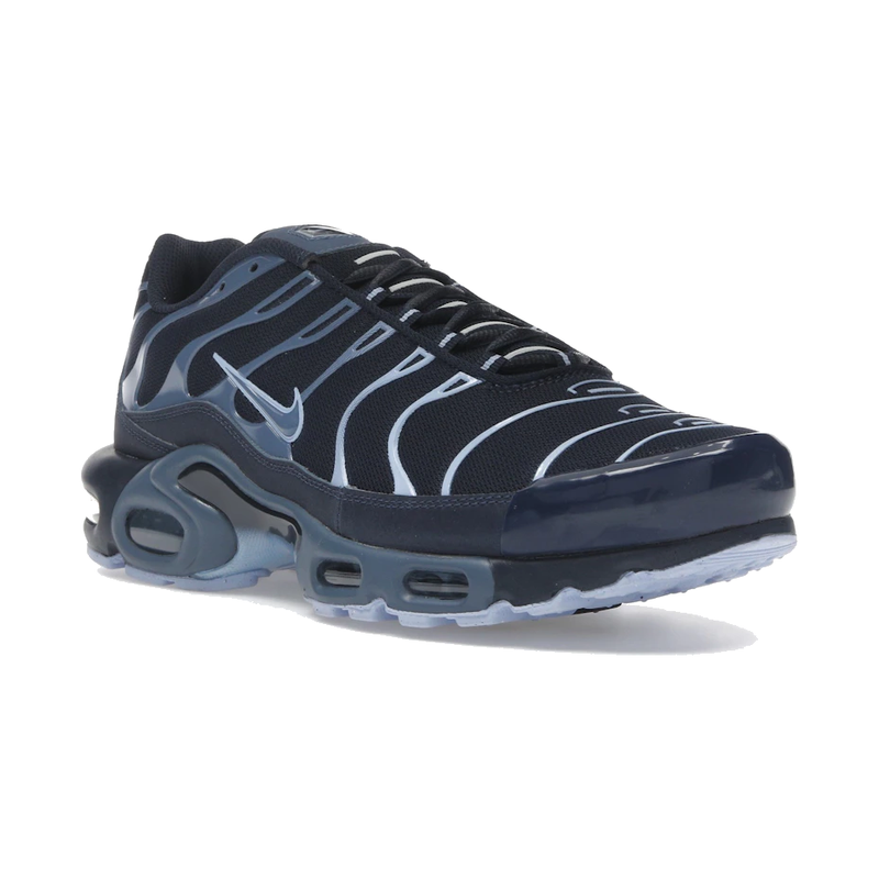 Nike Air Max Plus Obsidian Aluminum