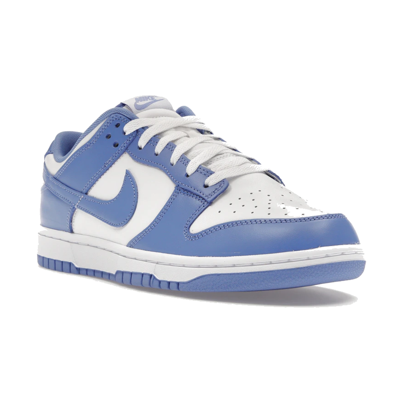 Nike Dunk Low Polar Blue
