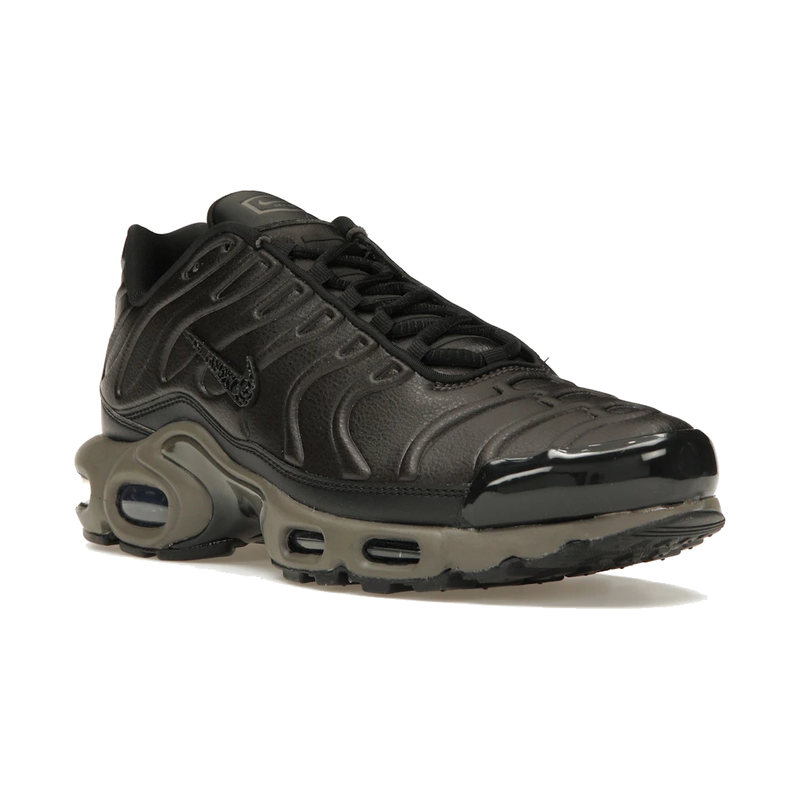Nike Air Max Plus Premium Paris